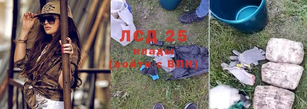 эйфоретик Белокуриха