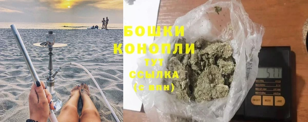 прущие грибы Белоозёрский