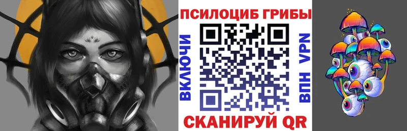 закладки  Микунь  Псилоцибиновые грибы Psilocybine cubensis 